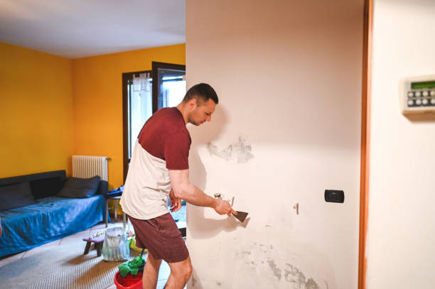 Best Kitchen Mold Remediation in Montrose Ghent, OH